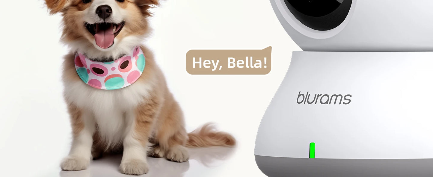 Blurams Babyphone-Kamera, 2K HD-Sicherheitskamera für Zuhause mit Bewegungserkennung und Zwei-Wege-Audio, einfache Einrichtung, klare Tag- und Nachtsicht